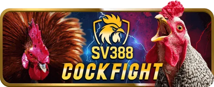 Ưu đãi và khuyến mãi 6ff1 Casino